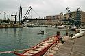 savona__34_